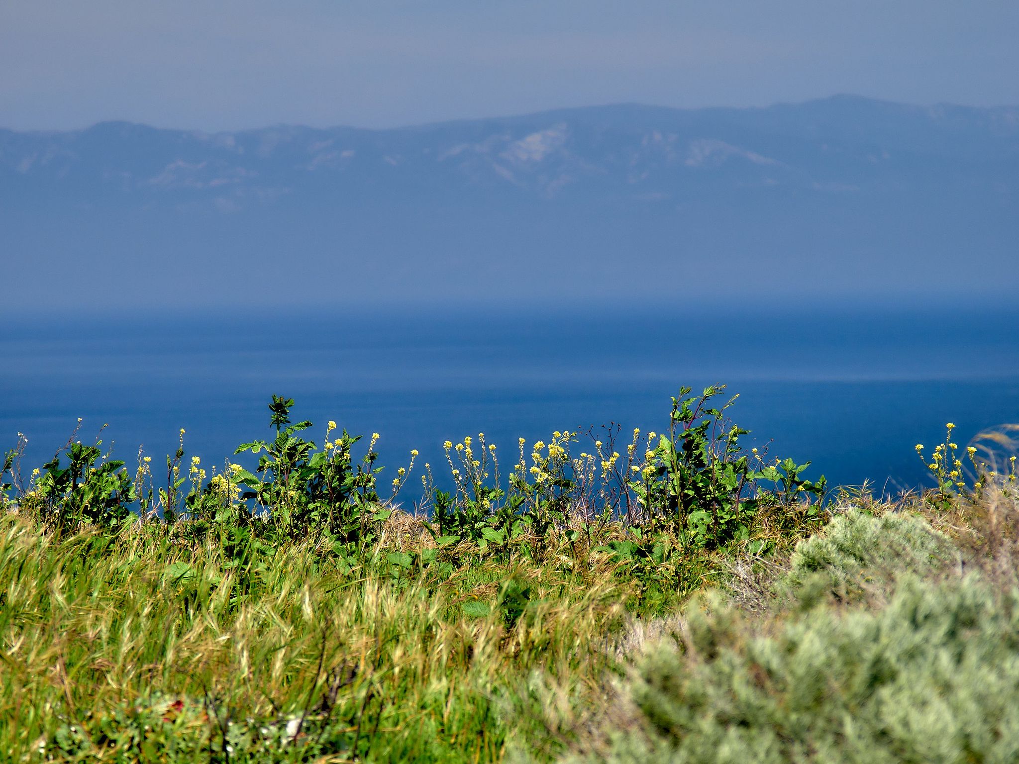 Santa Barbara From Santa Cruz Island - California