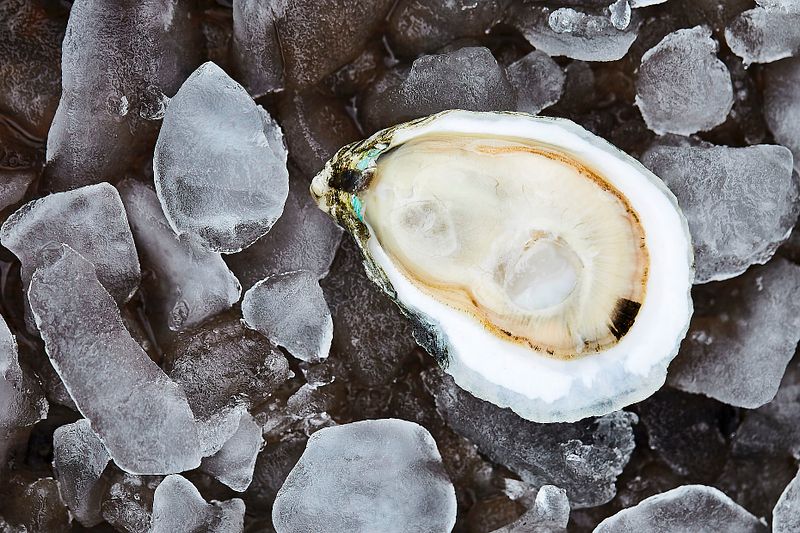 Shucking 101