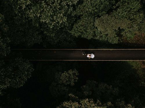 Adventure and Romance