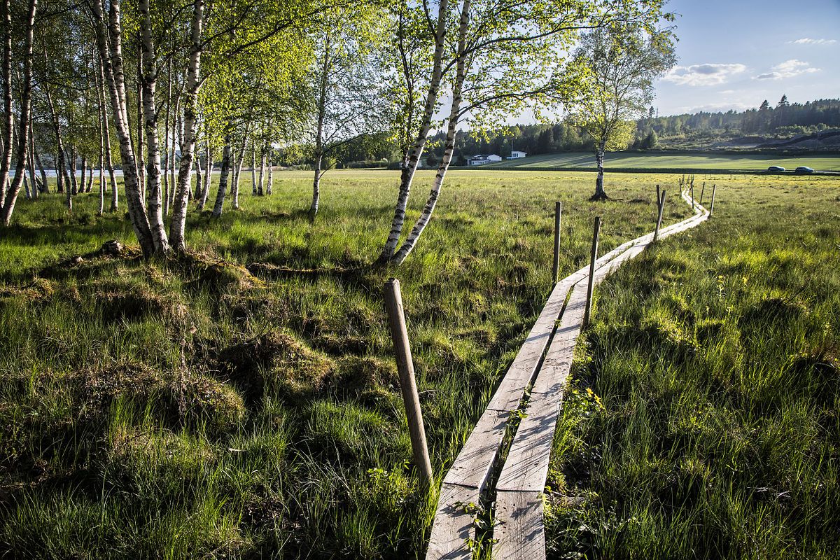 Naturschutzgebiet Fiskumvannet