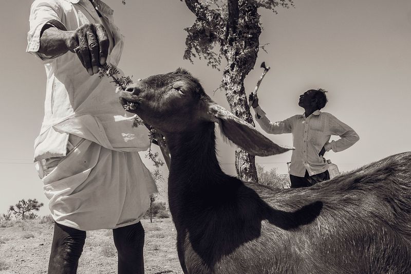 In search of my India (ongoing)