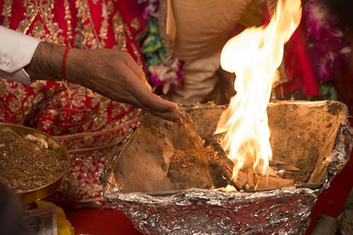 FOTUWALLE by DHP Labs