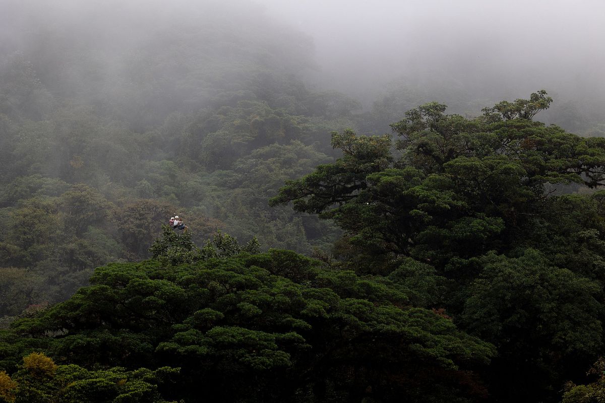 Zipline-lina &ouml;ver dimmig regnskog med sm&aring; personer p&aring; v&auml;g genom gr&ouml;n vegetation.