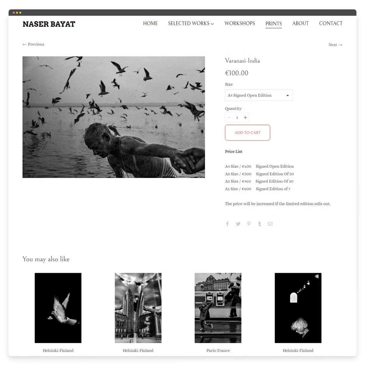 Imagem do site do portfólio de fotografia de Naser Bayat