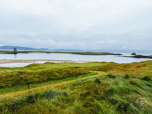 International Courses