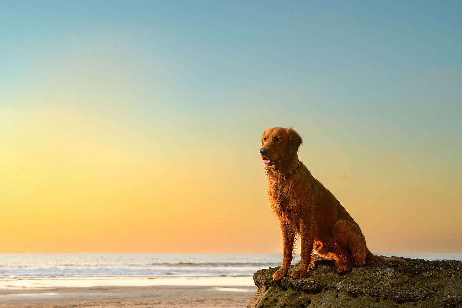 Gretchen Otero Photography