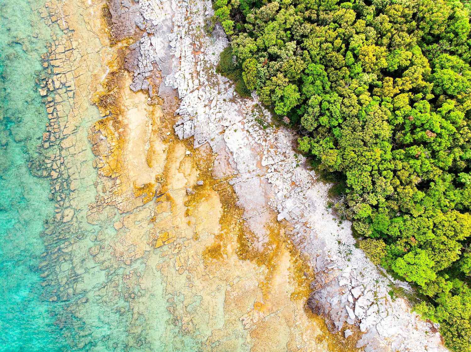 Coastal Zones