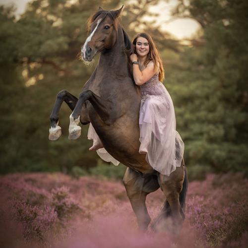 Paardenfotografie