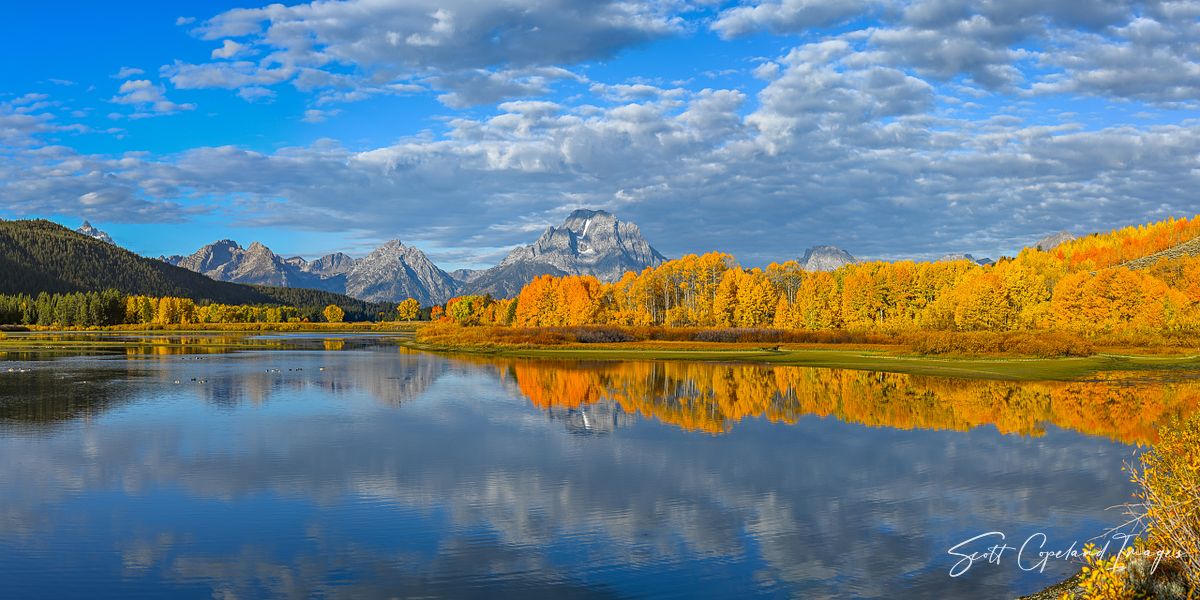 Classic for a Reason