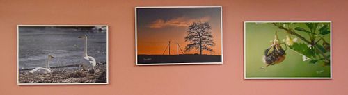 Osta lõuendipilte seinale.