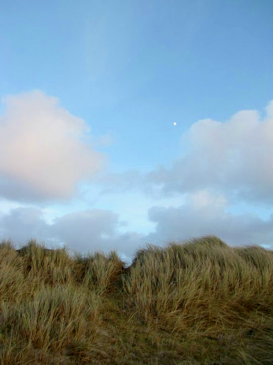 grasses, sky, and moon, connemara ireland