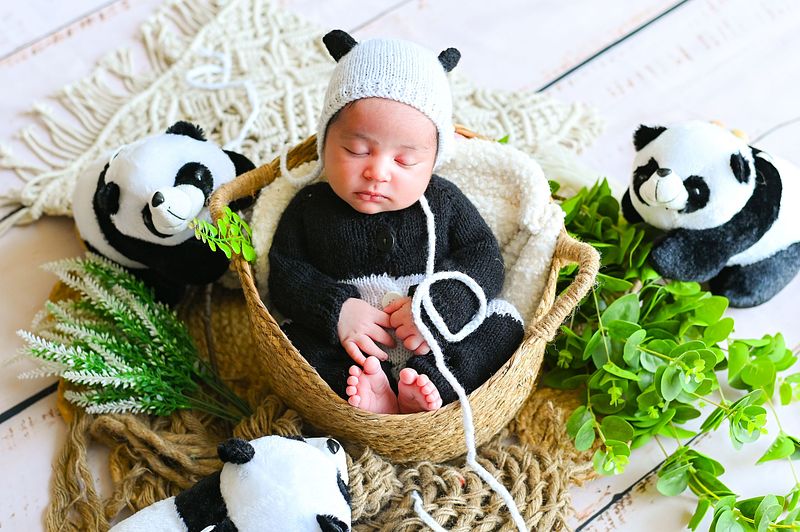 New Born Photo Session