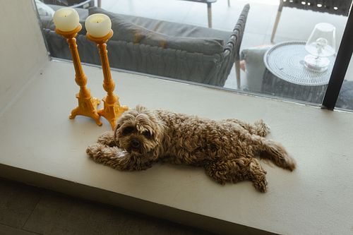 Matrimonio destination wedding La Cerbara colline Pesaro fotografie eleganti