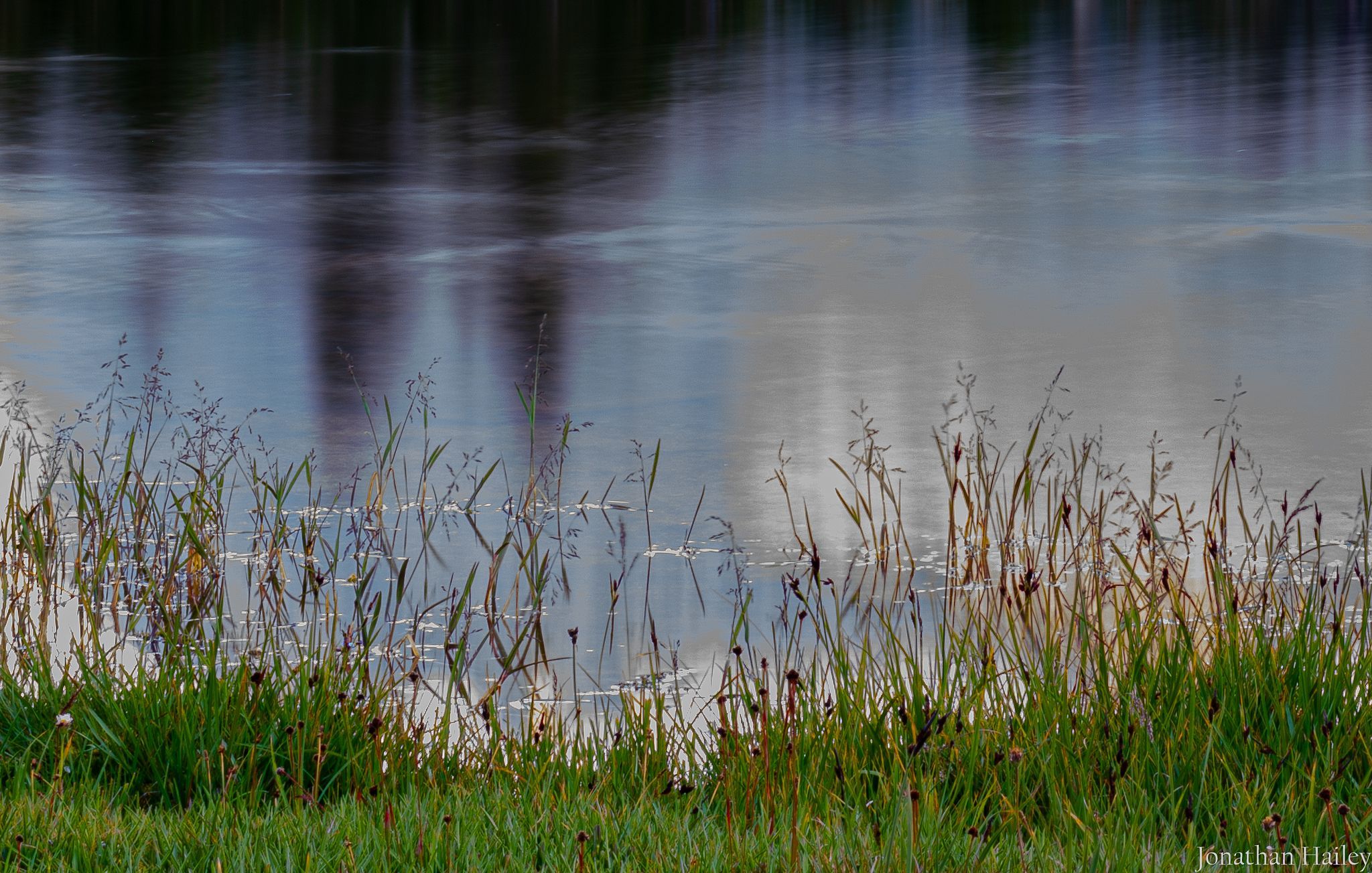 Evening Serenity