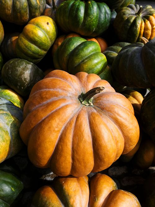 Kapelle Wilder Geschinen