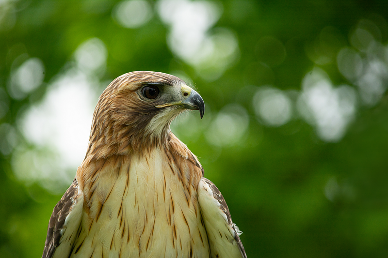 &ldquo;People Shop With Their Eyes&rdquo; . . .