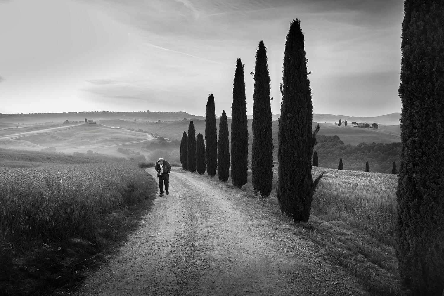 Dirk Thiebaut Photography