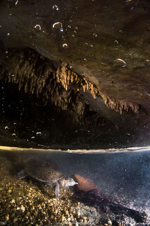 Cave dweller by accident