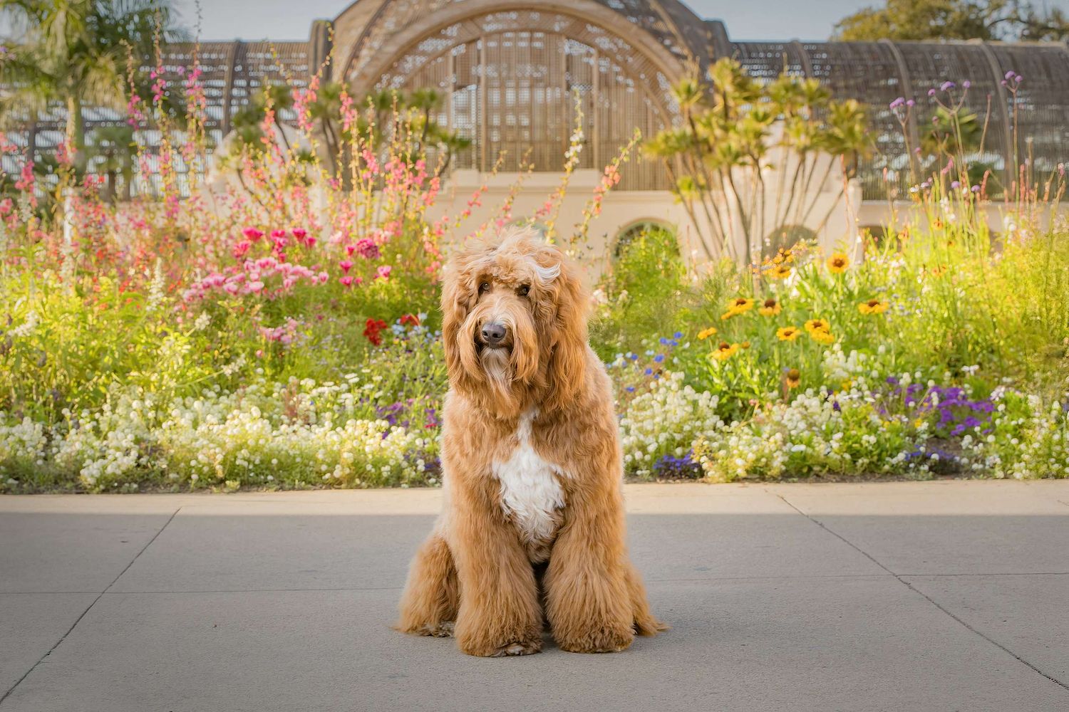 Gretchen Otero Photography