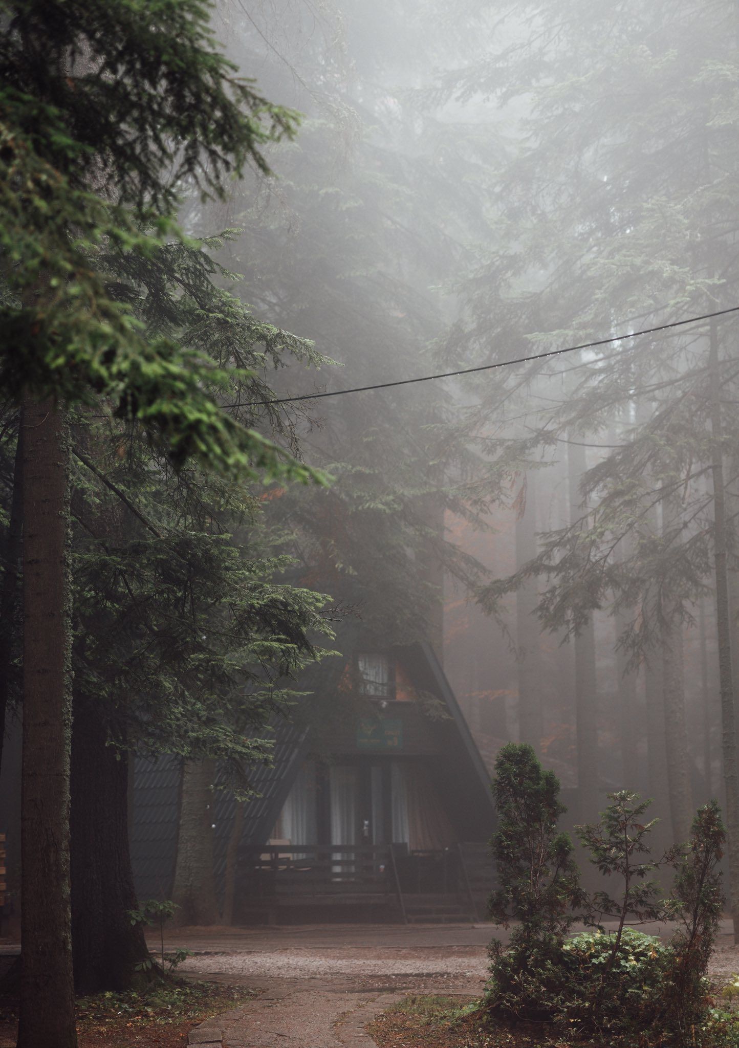 Bloomade Photography