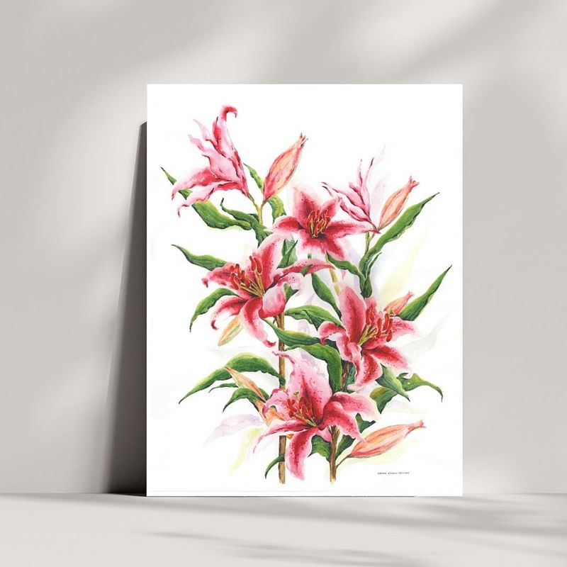 Pink Stargazer Lilies