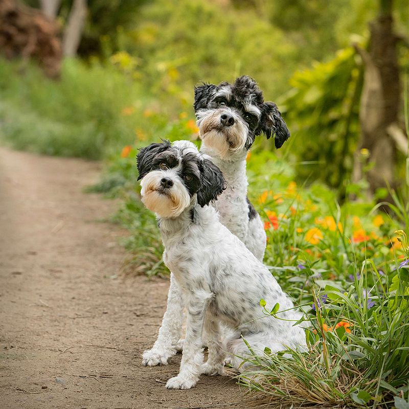 Vote for Norm and Ruth