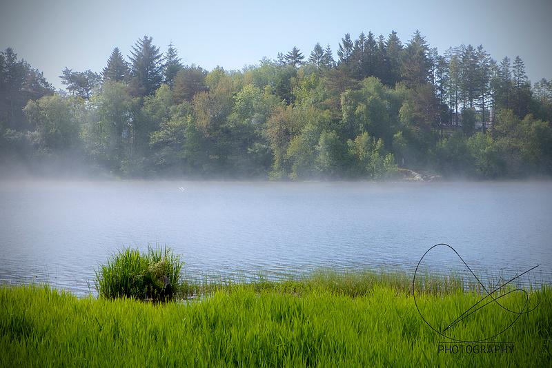 Tysdag 1. juni er eg ute heile dagen