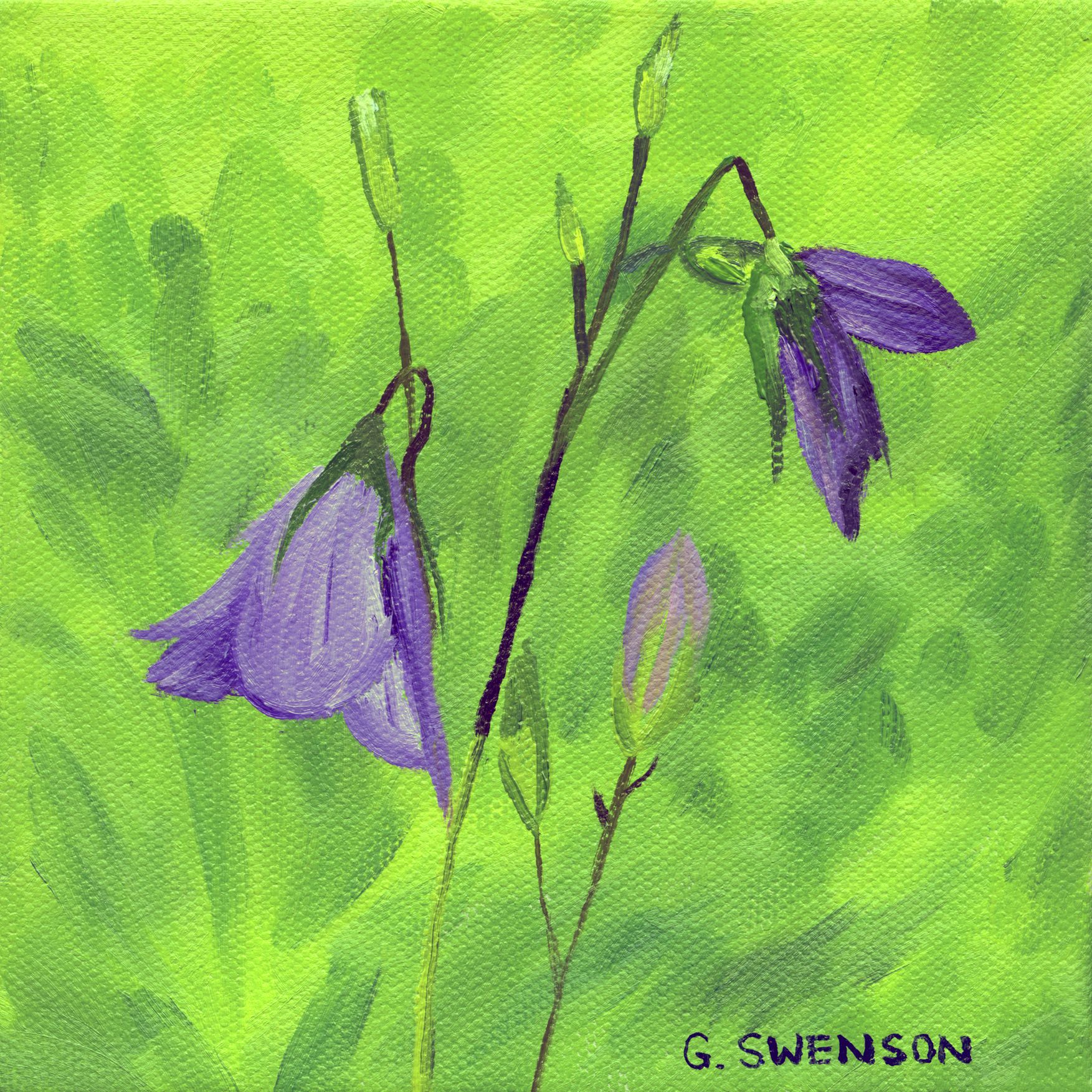 Bluebells