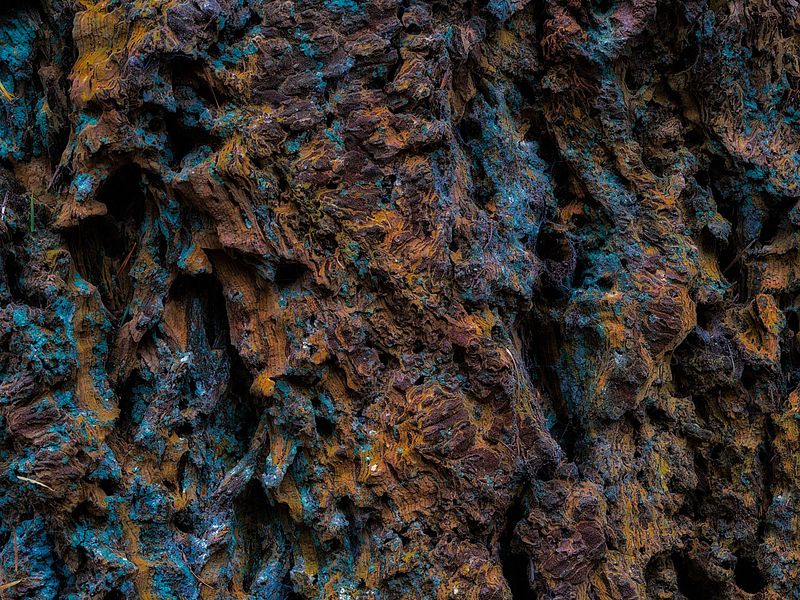 Abstracte natuurfotografie (4 juli 2026)