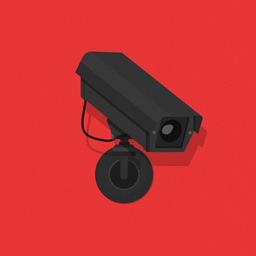 The Camera