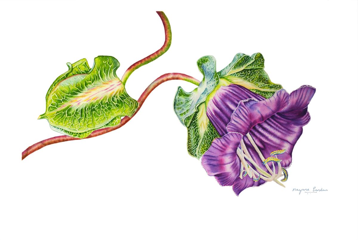 Cups and Saucers Flower painting