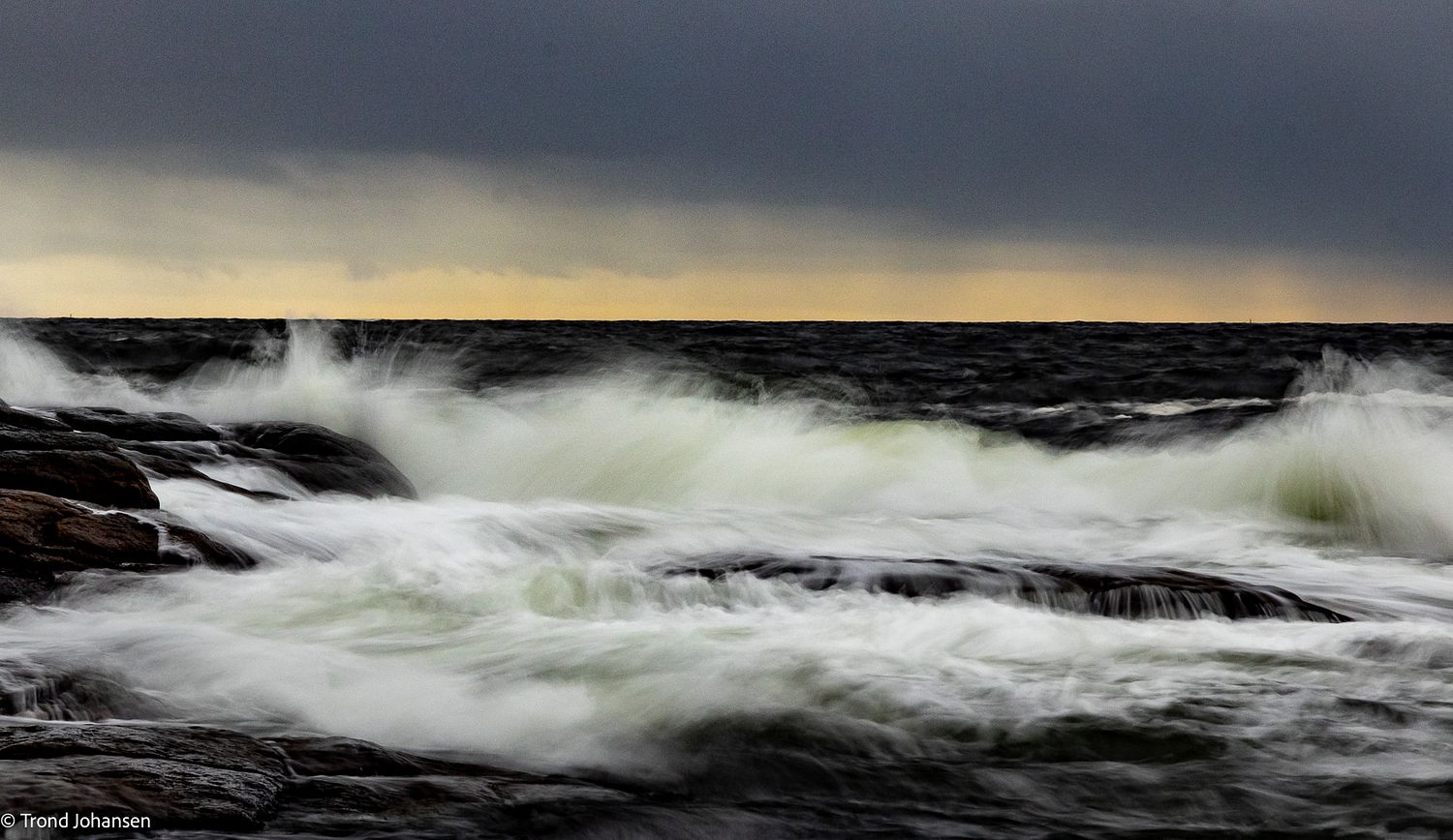 Trond Johansen Foto Natur Sarpsborg - Fotograf / Film