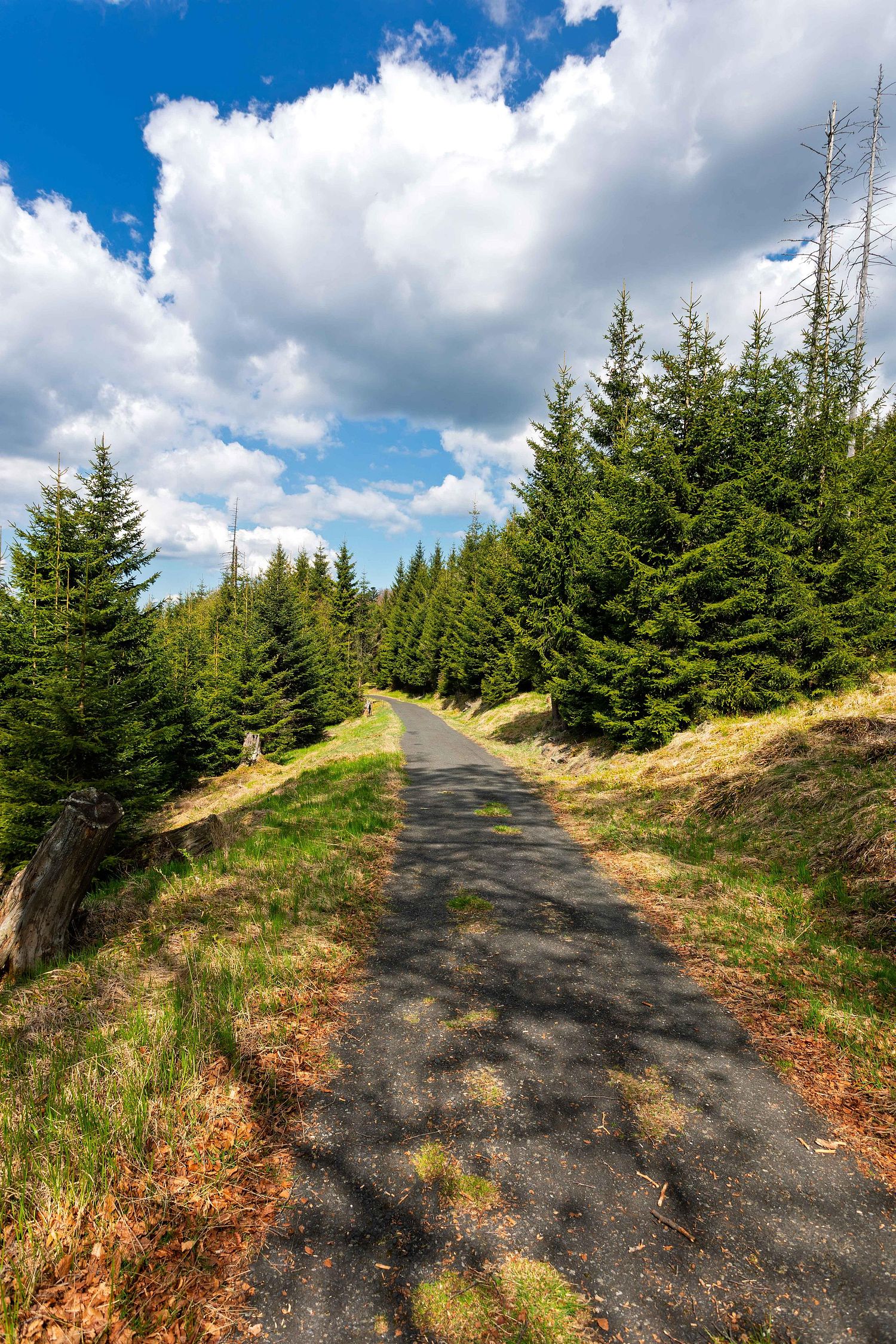 Sumava the road
