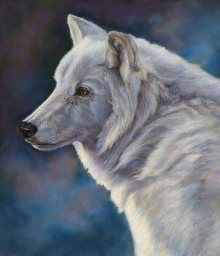 Pastel of watchful white dog by Lesley Heathcote