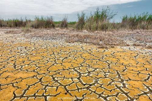 Lake Neusiedl dry mud