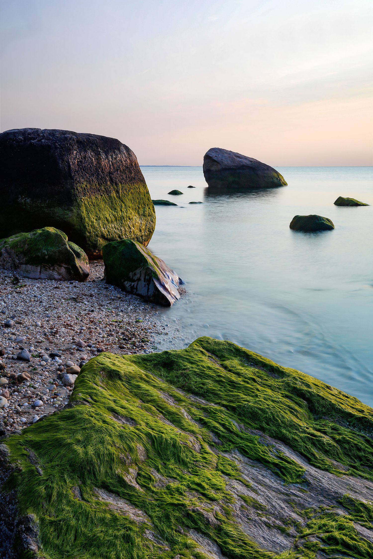 ALISON PERRY PHOTOGRAPHY