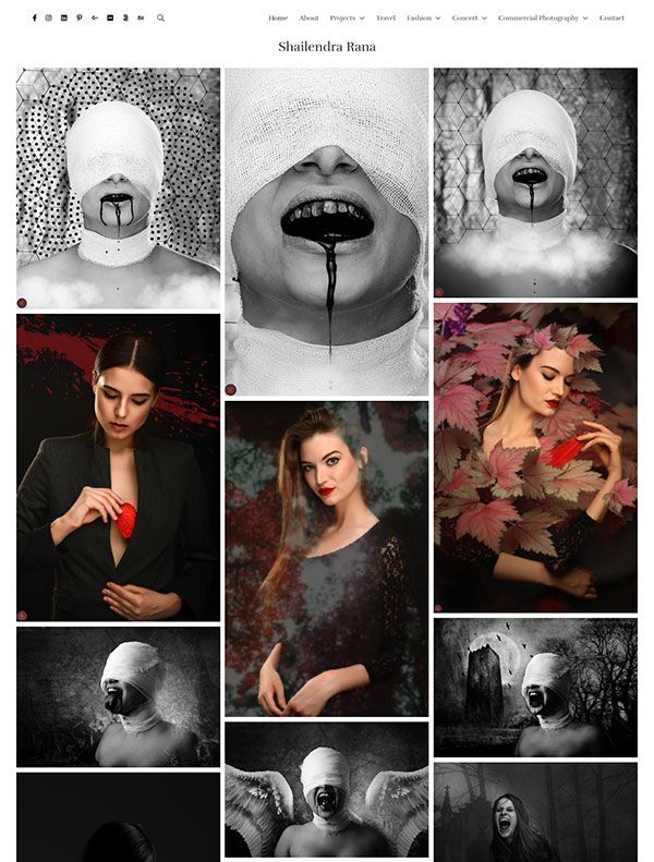 Przykłady stron internetowych z portfolio Shailendra Rana
