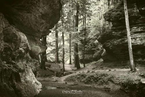 Life Below the Cliffs