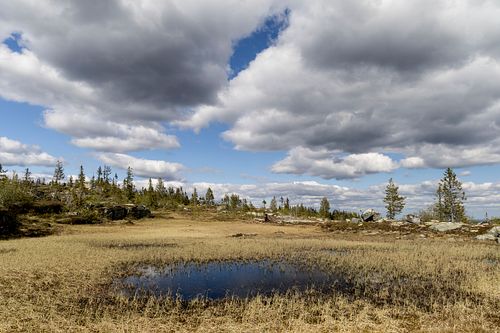 Naturwaldreservat Trillemarka