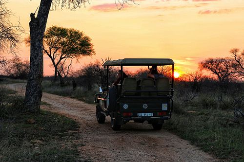 Sunset Safari
