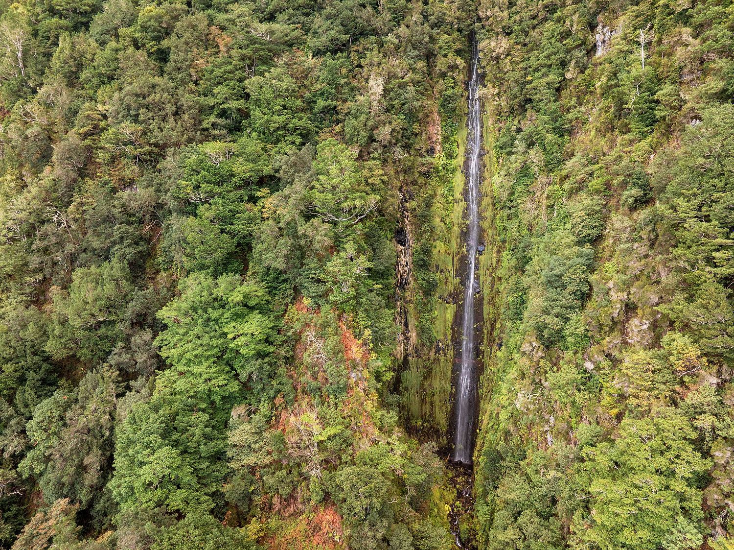 Felswandwasserfall