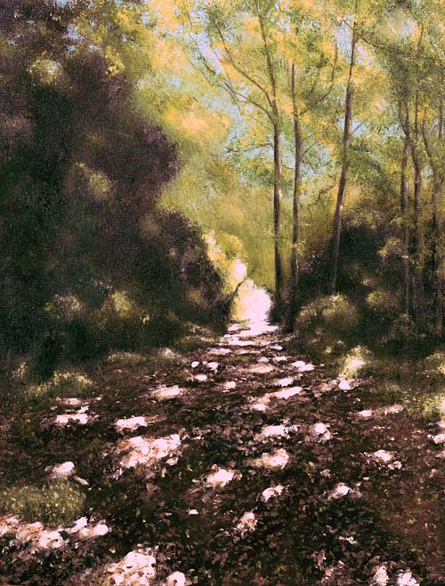 A leafy pathway through trees in summer