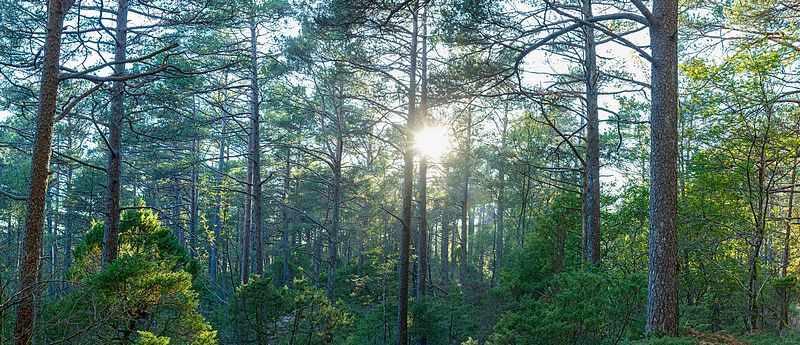 Ute på oppdrag 22 oktober