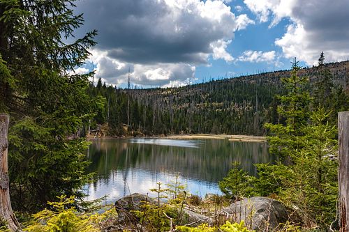 Lac au milieu d’une forêt, ciel dégagé.