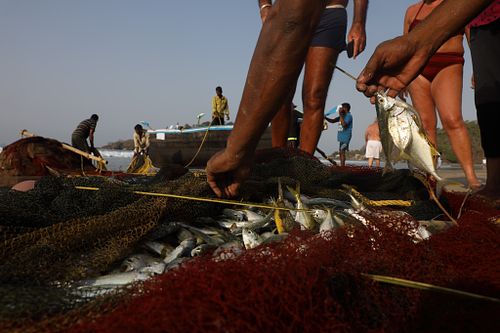 Best Travel Photographer in Delhi NCR