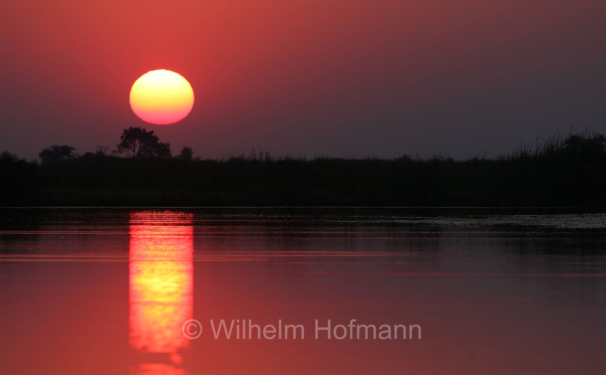 Okavango Delta, Okavango Grassland, Botswana, Republik Botsuana