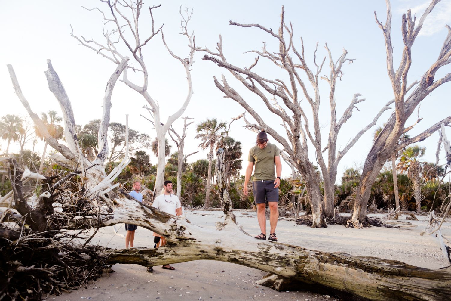 chrissy hutchinson photo+video