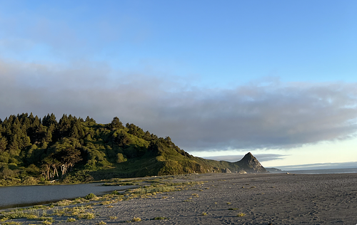 Mentorship & 1:1 Offerings