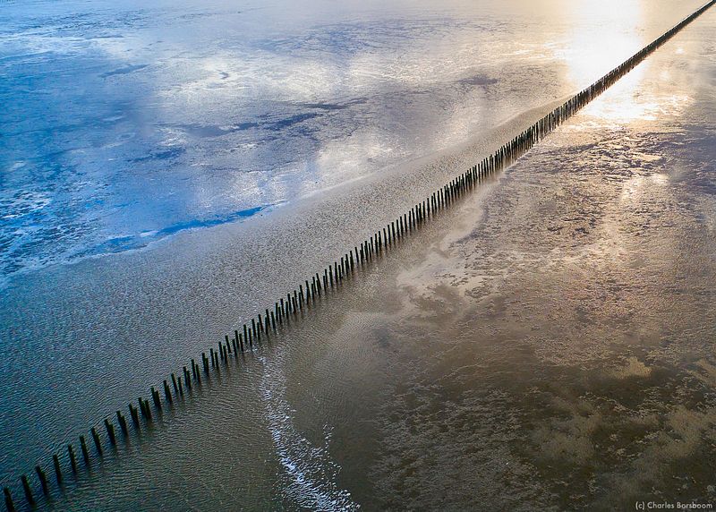 The Next Step (20 - 22 november 2026)