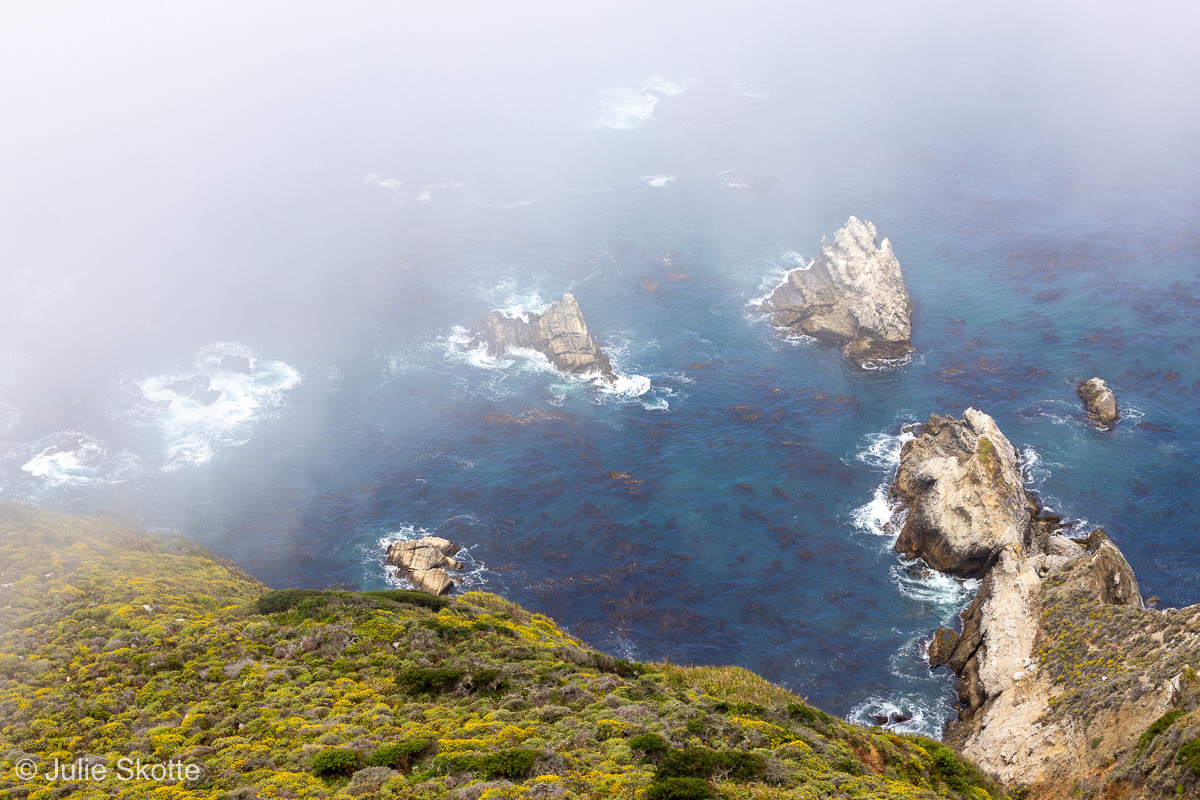 Photographing Big Sur: A Summer Journey Through California's Dramatic ...